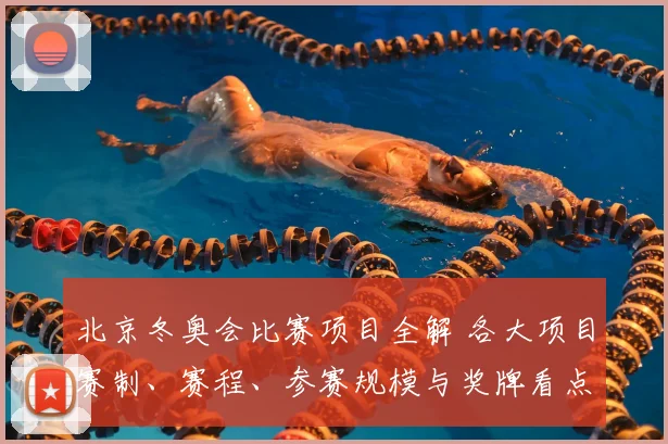 北京冬奥会比赛项目全解 各大项目赛制、赛程、参赛规模与奖牌看点