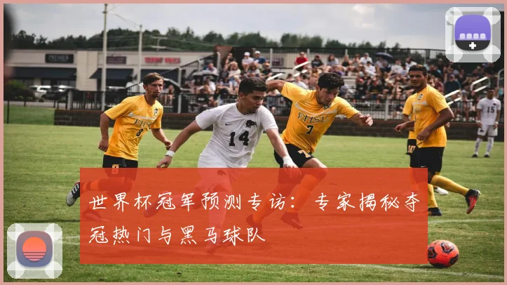 世界杯冠军预测专访：专家揭秘夺冠热门与黑马球队