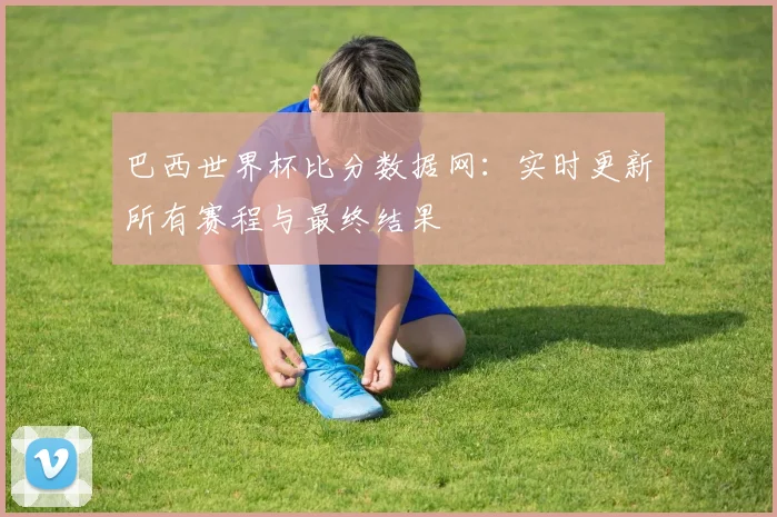 巴西世界杯比分数据网：实时更新所有赛程与最终结果