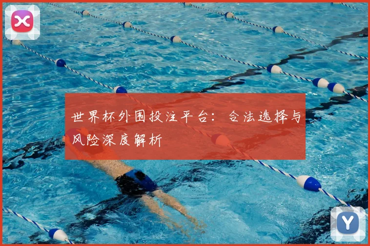 世界杯外围投注平台：合法选择与风险深度解析