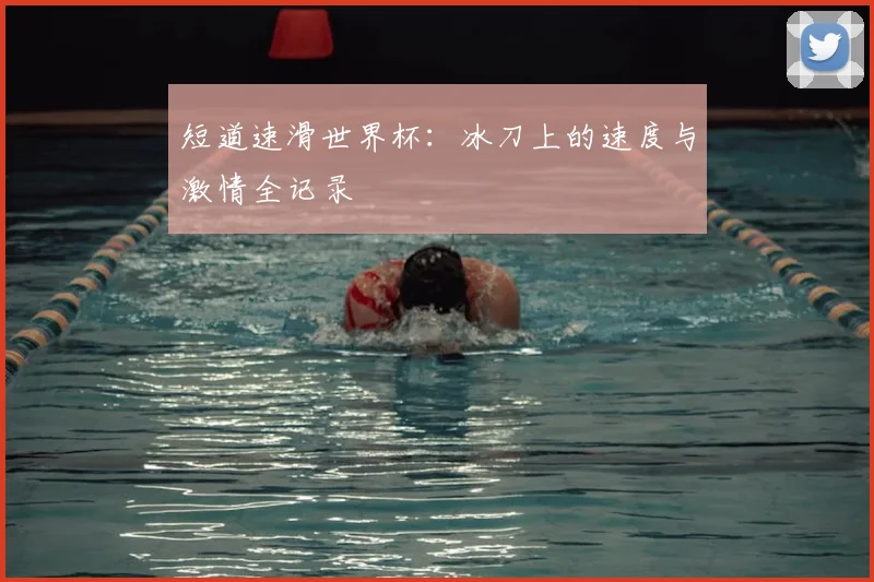 短道速滑世界杯：冰刀上的速度与激情全记录