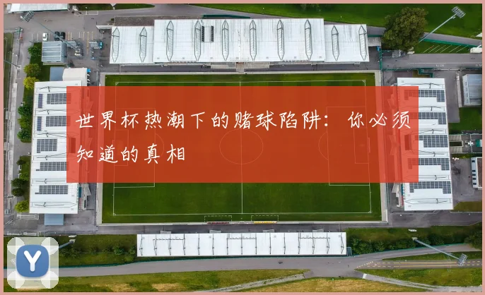 世界杯热潮下的赌球陷阱：你必须知道的真相