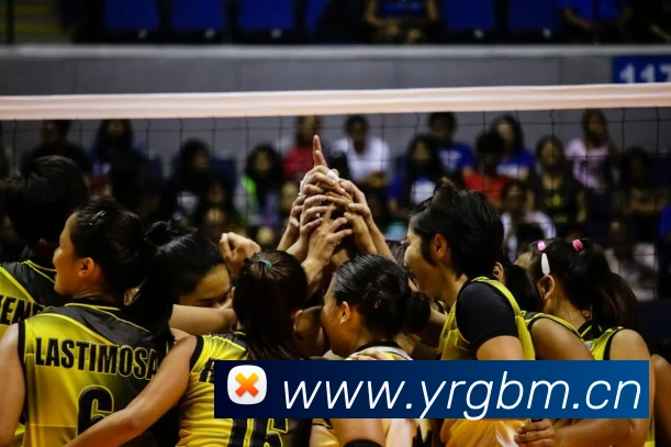 App Interface Preview