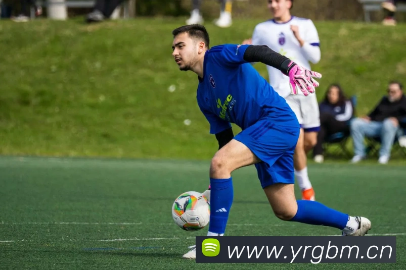 九游j9官网直达APP 封面图